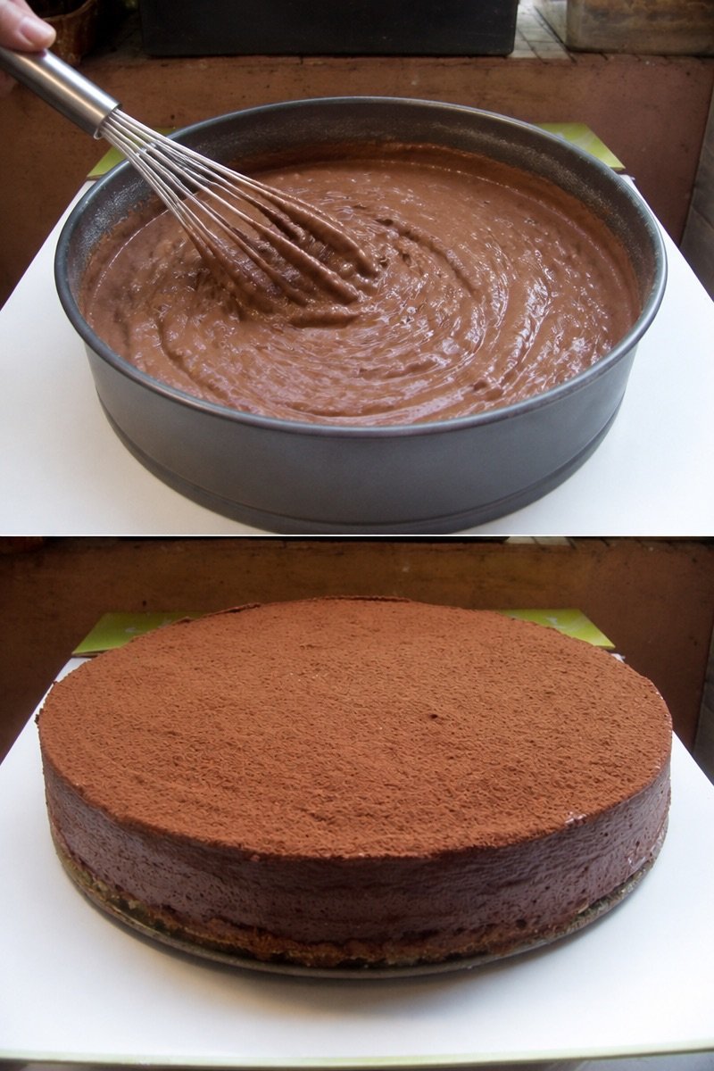 Gâteau au chocolat en poudre facile