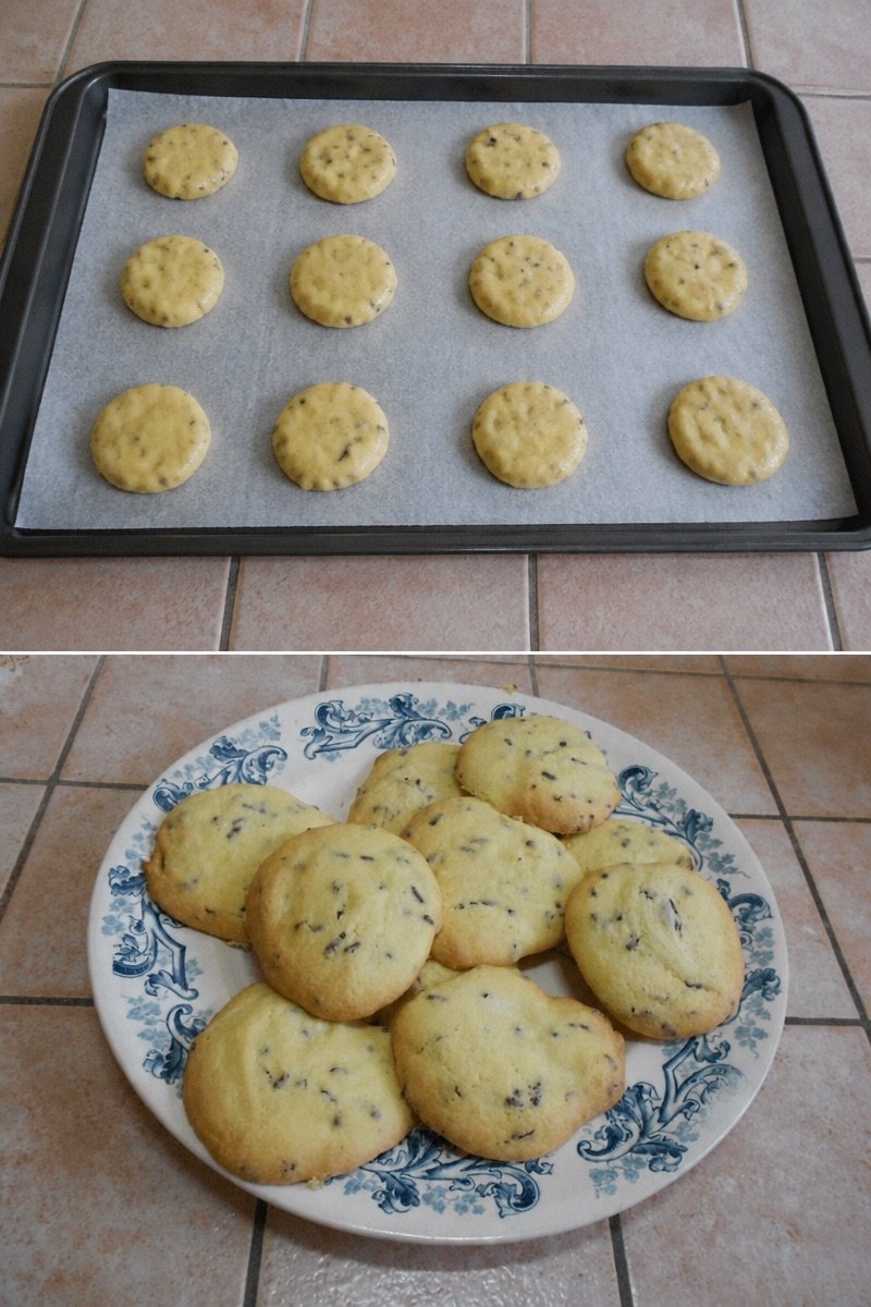 Dollard (biscuit tutto semplice)