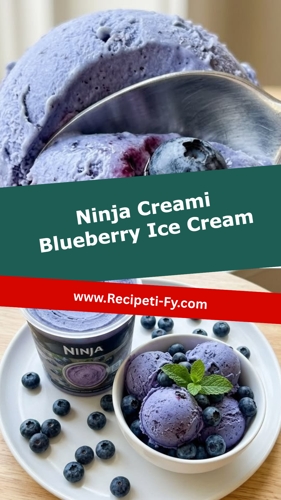 Ninja Creami Blueberry Ice Cream