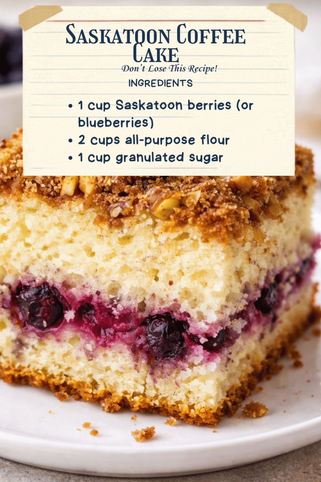 Saskatoon Coffee Cake