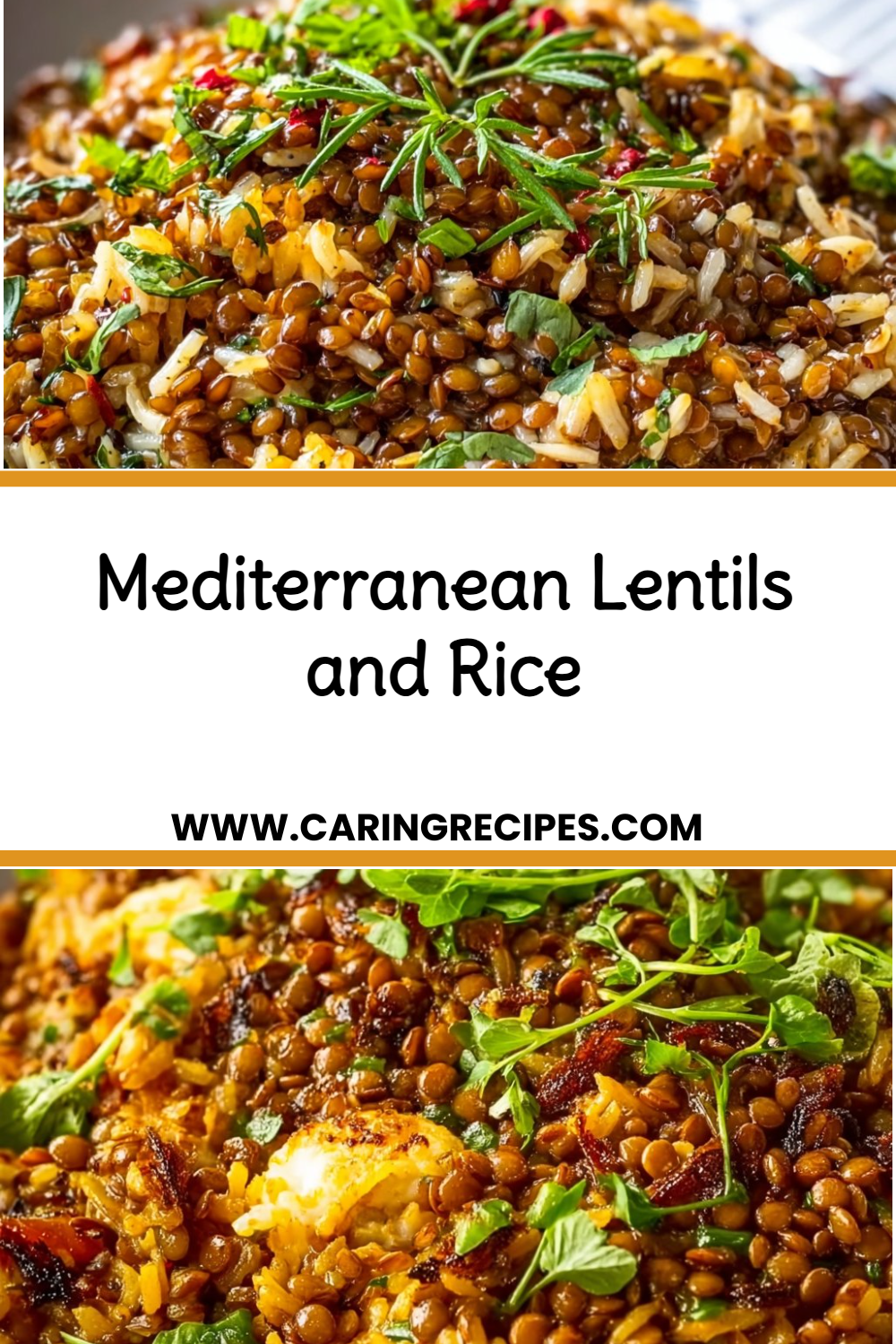 Mediterranean Lentils and Rice