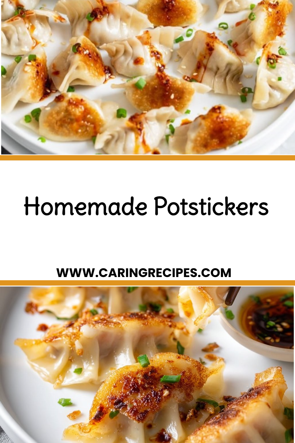 Homemade Potstickers