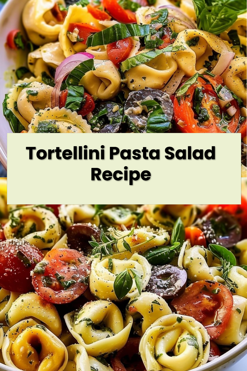 Tortellini Pasta Salad Recipe