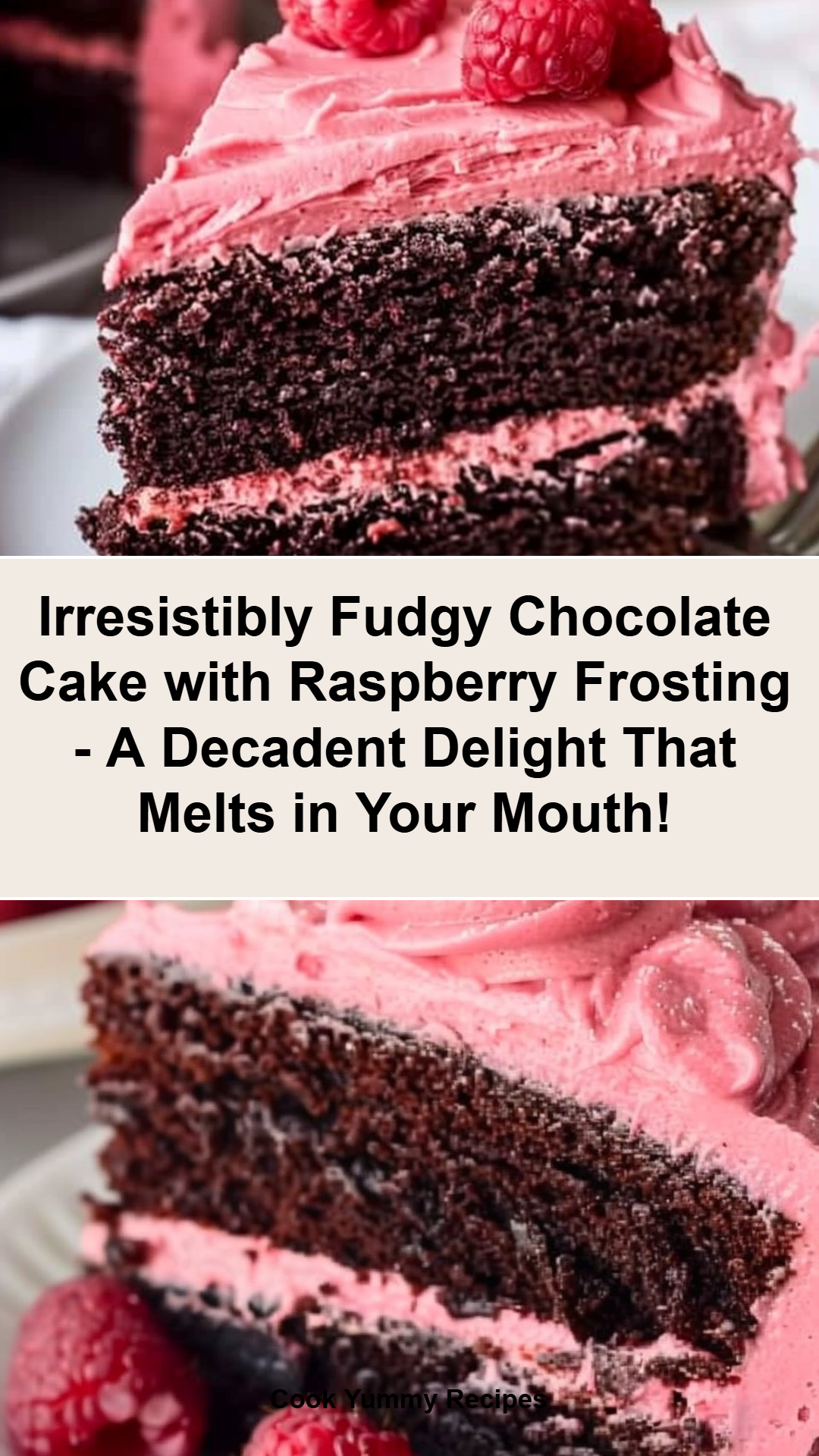 Raspberry-Frosted Fudgy Chocolate Cake