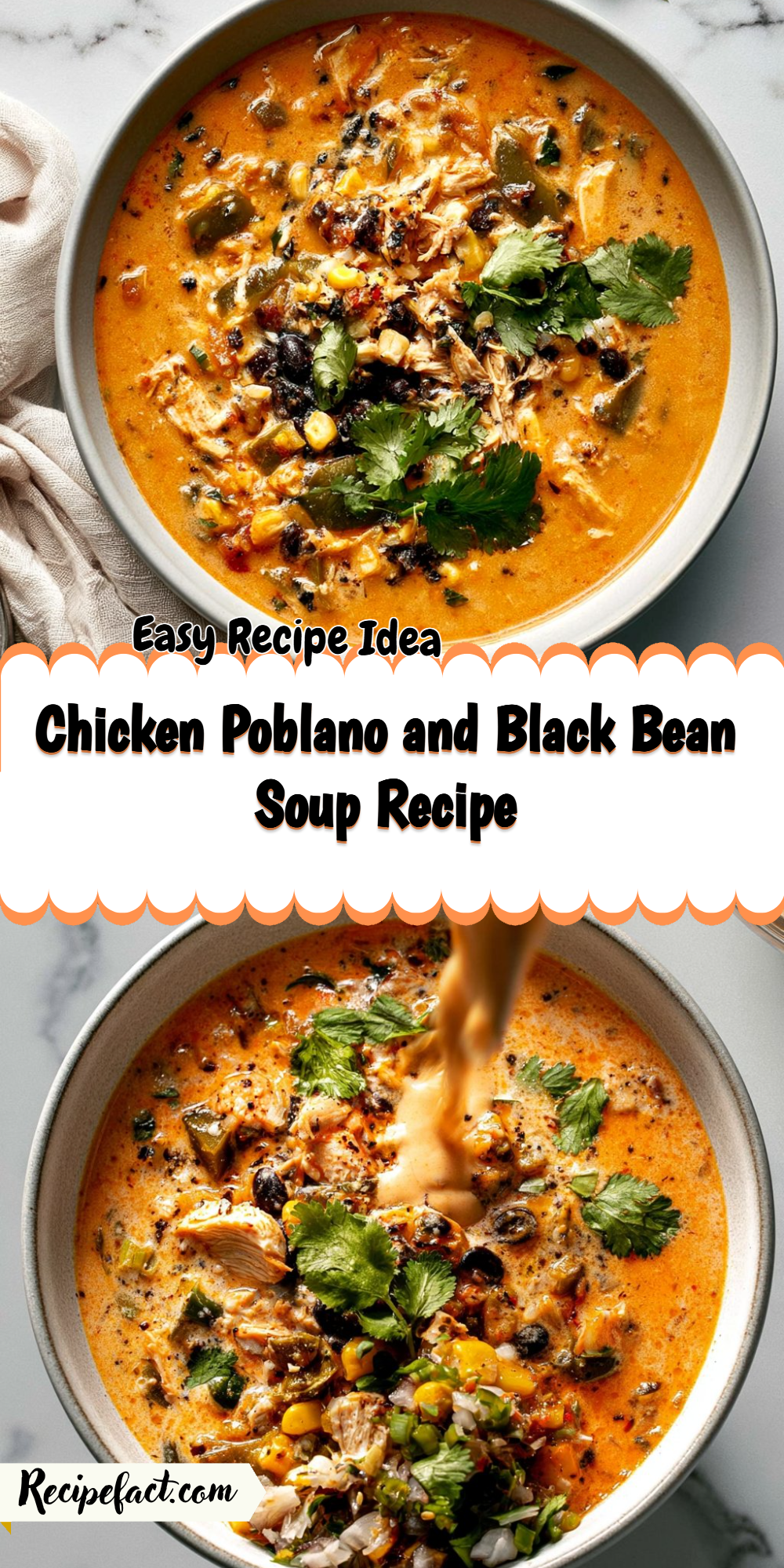 Chicken Poblano and Black Bean Soup Recipe