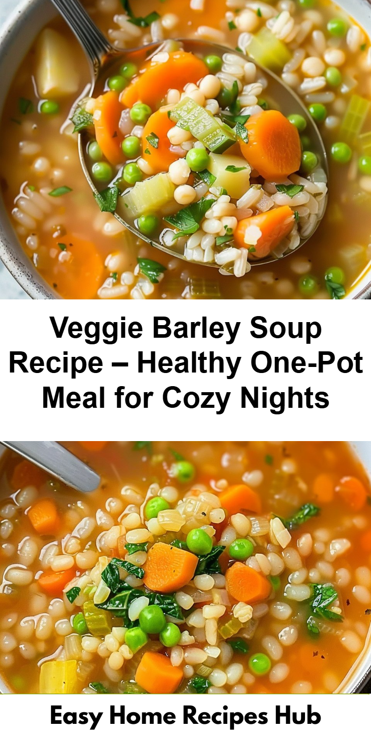 Vegetable Barley Soup