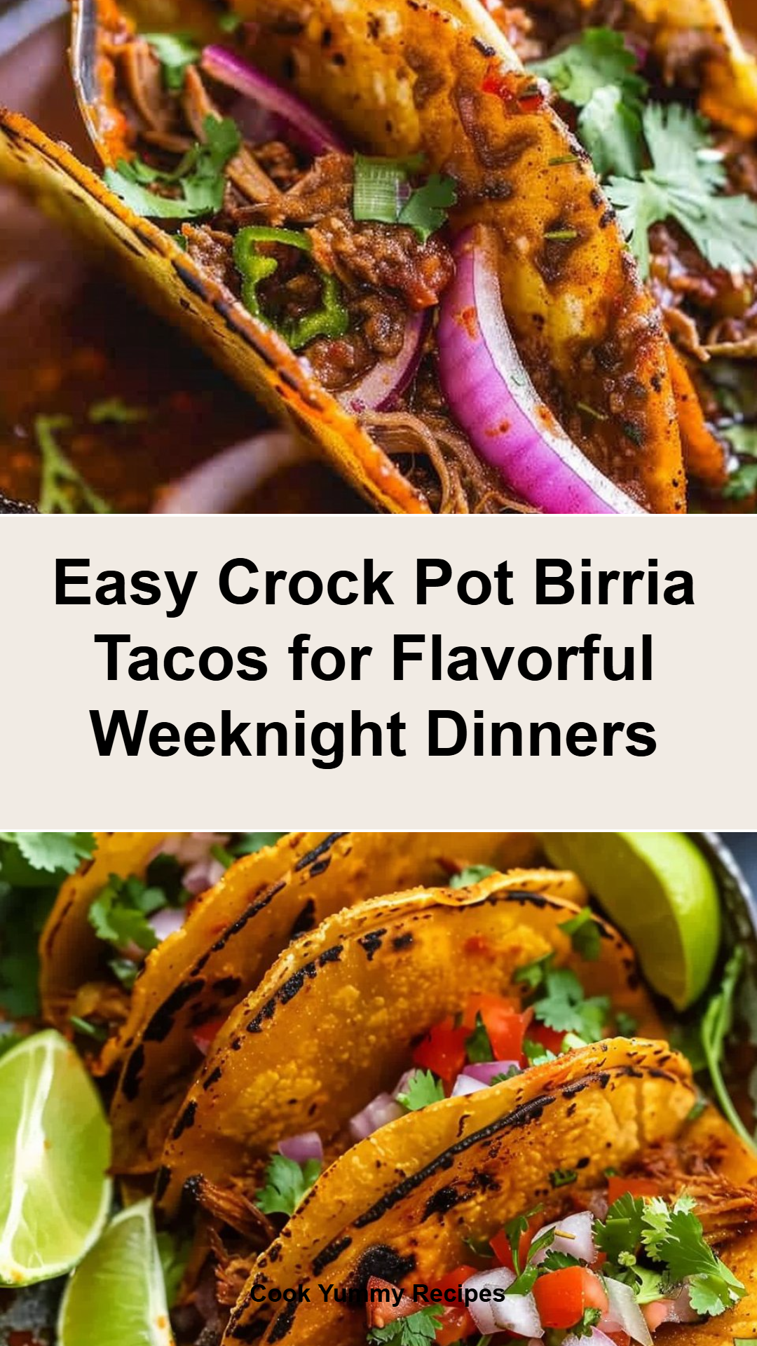 Easy Crock Pot Birria Tacos Recipe