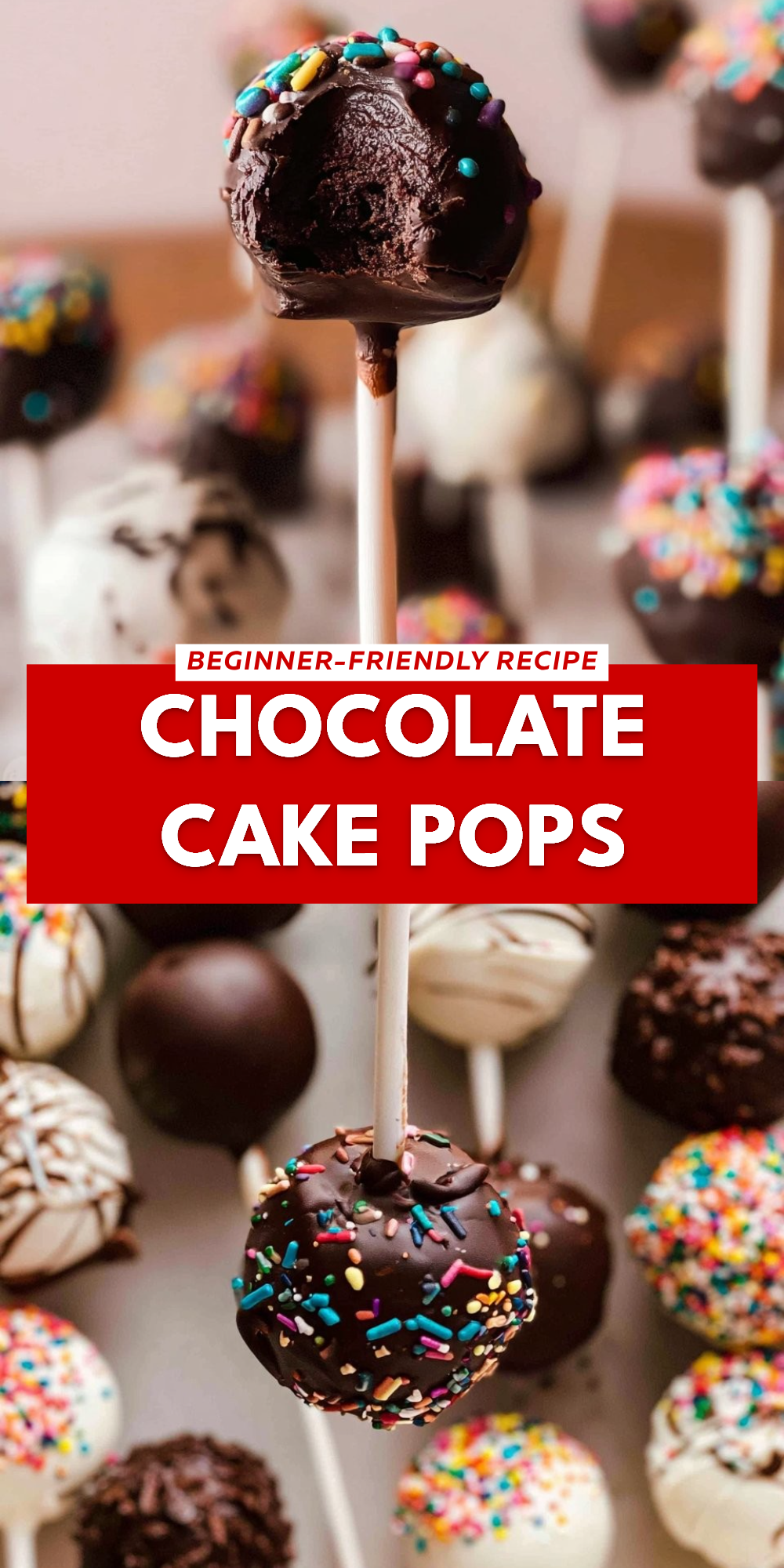 Chocolate Cake Pops