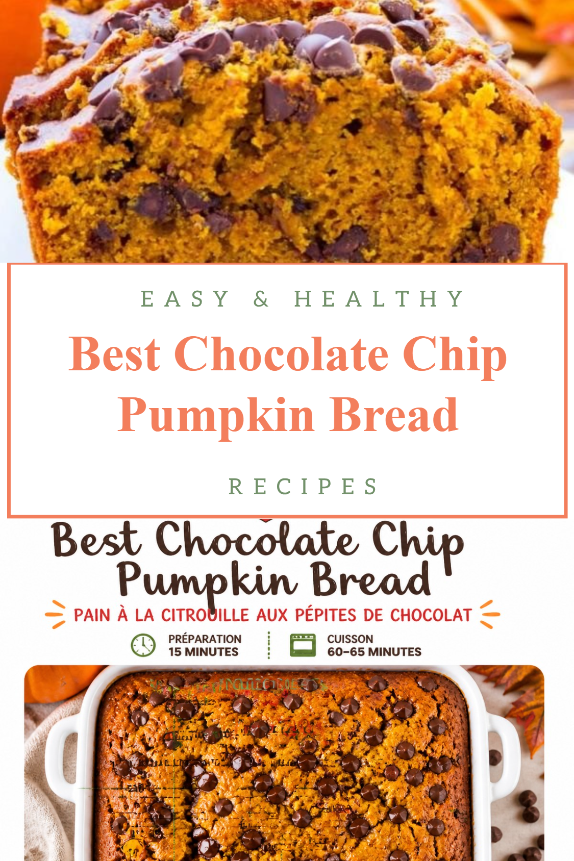 Best Chocolate Chip Pumpkin Bread