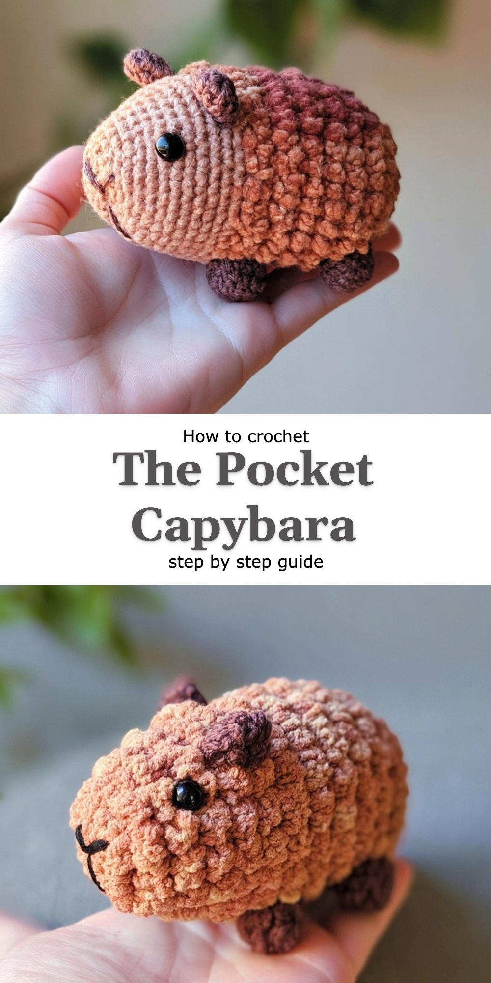 The Pocket Capybara