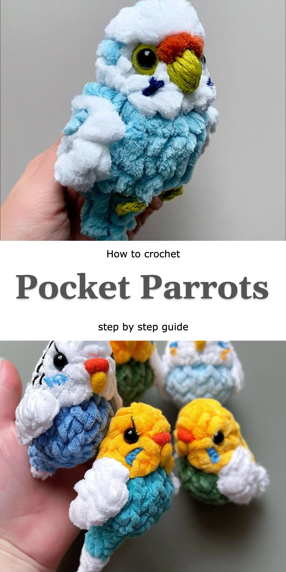 Pocket Parrots