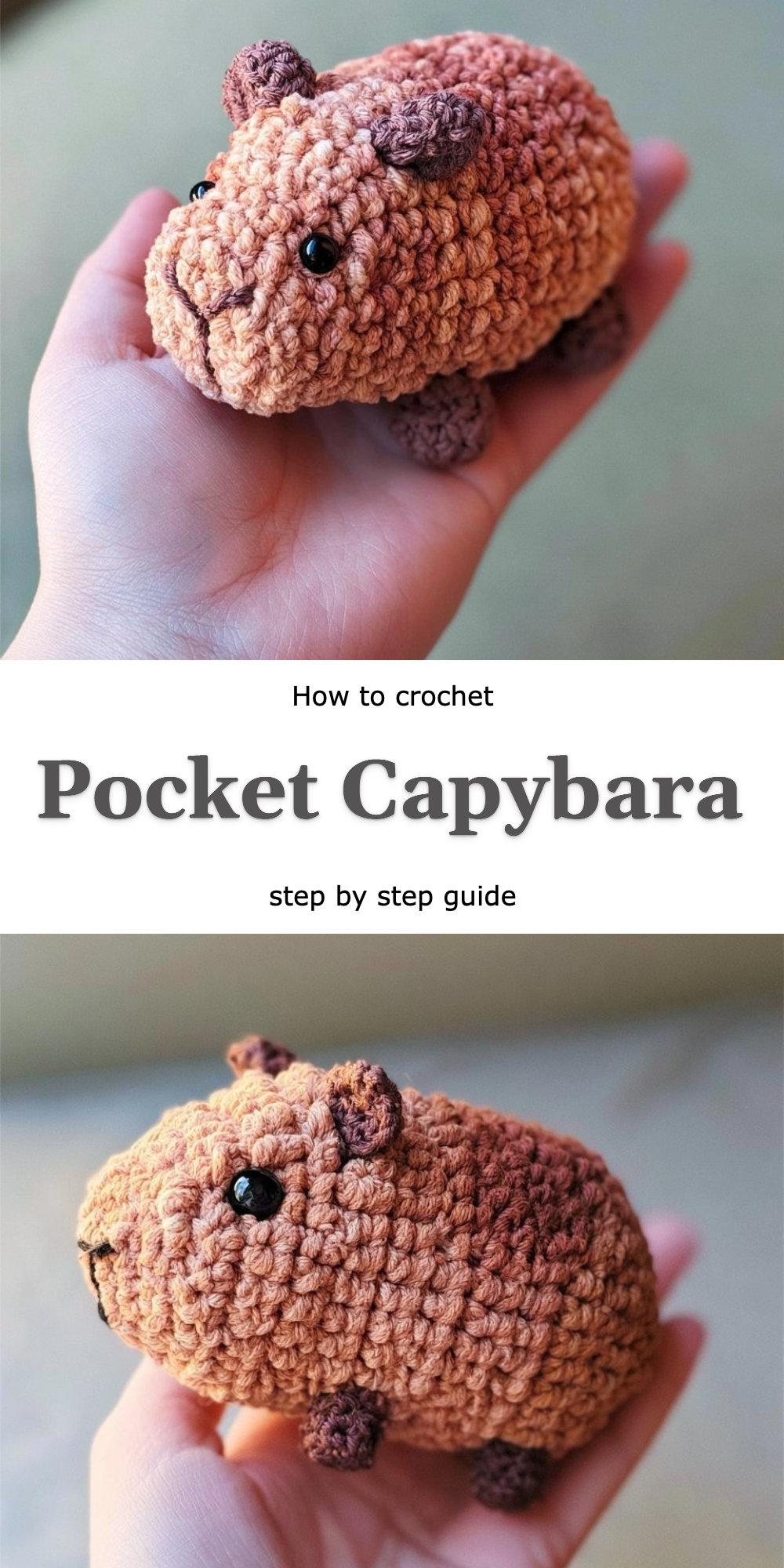 Pocket Capybara