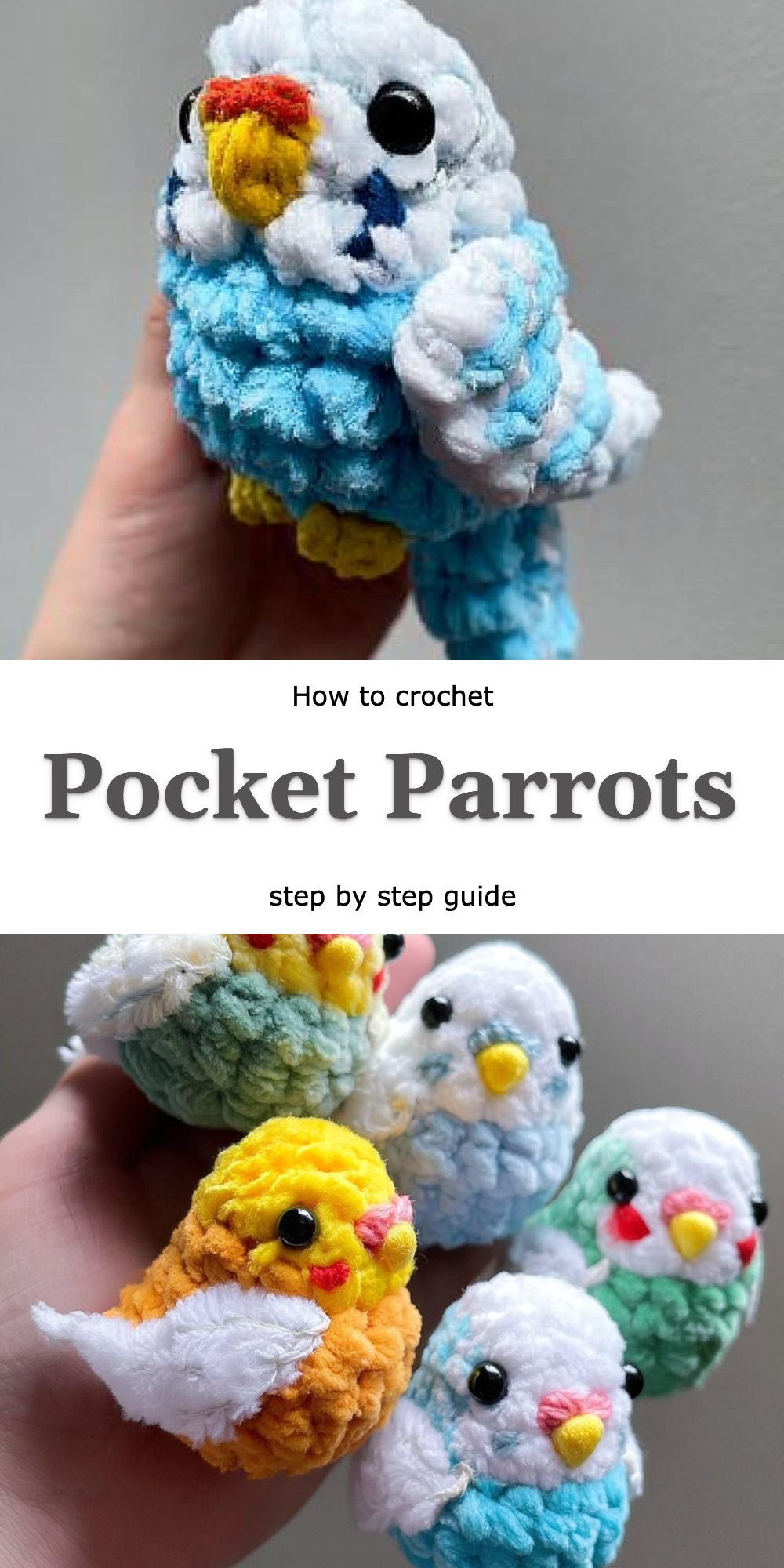 Pocket Parrots