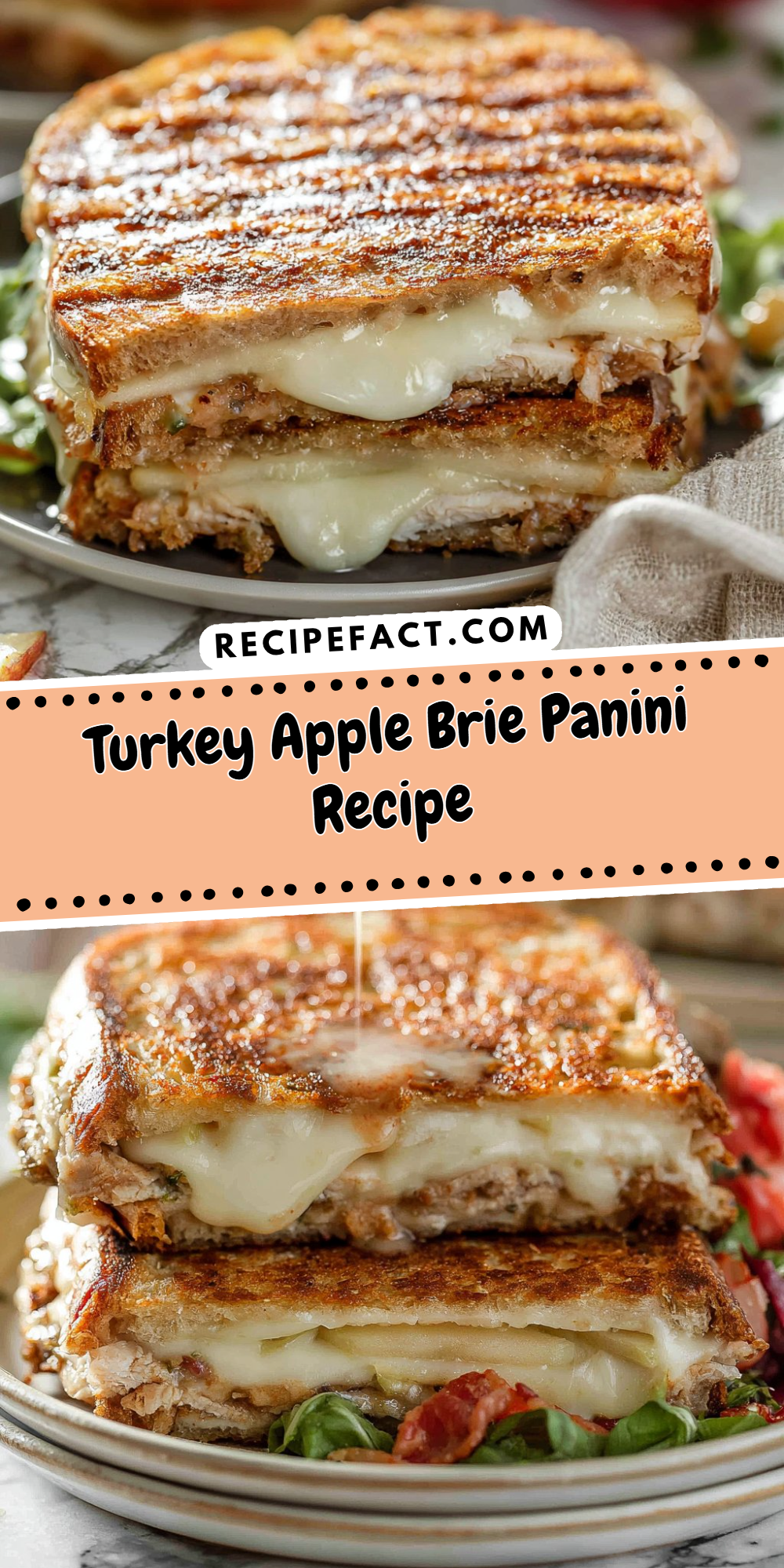 Turkey Apple Brie Panini Recipe