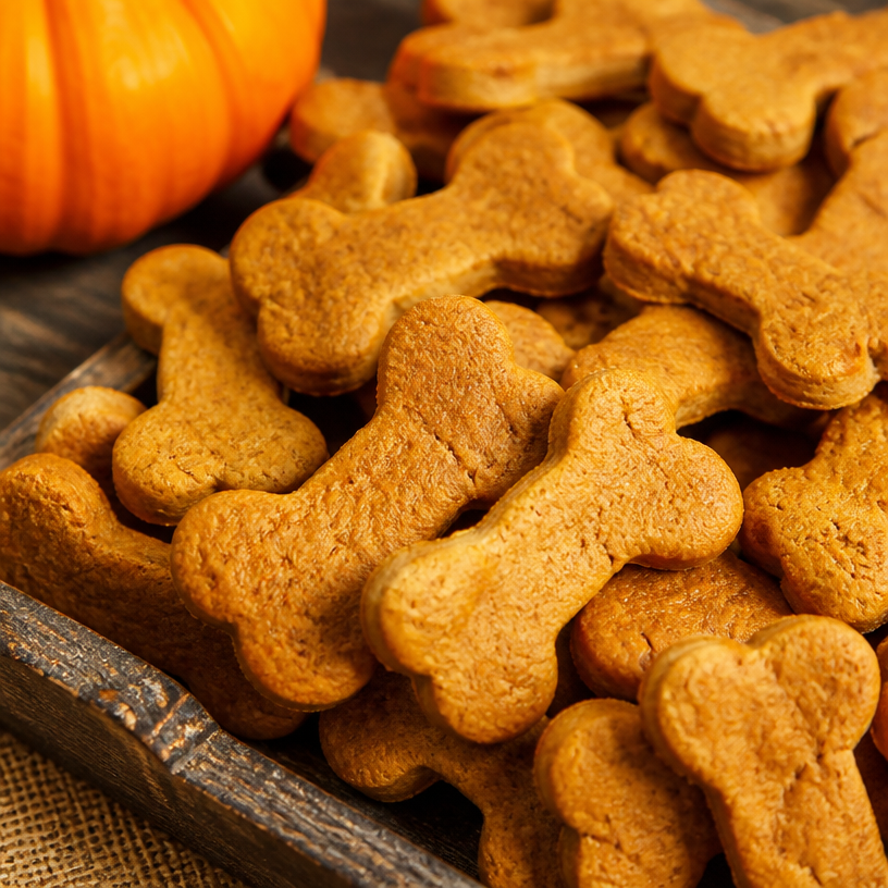 Peanut Butter Pumpkin Dog Treats