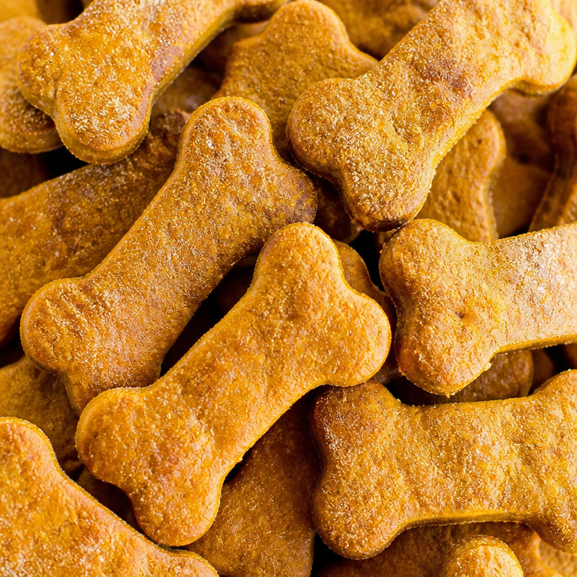 Pumpkin Dog Biscuits