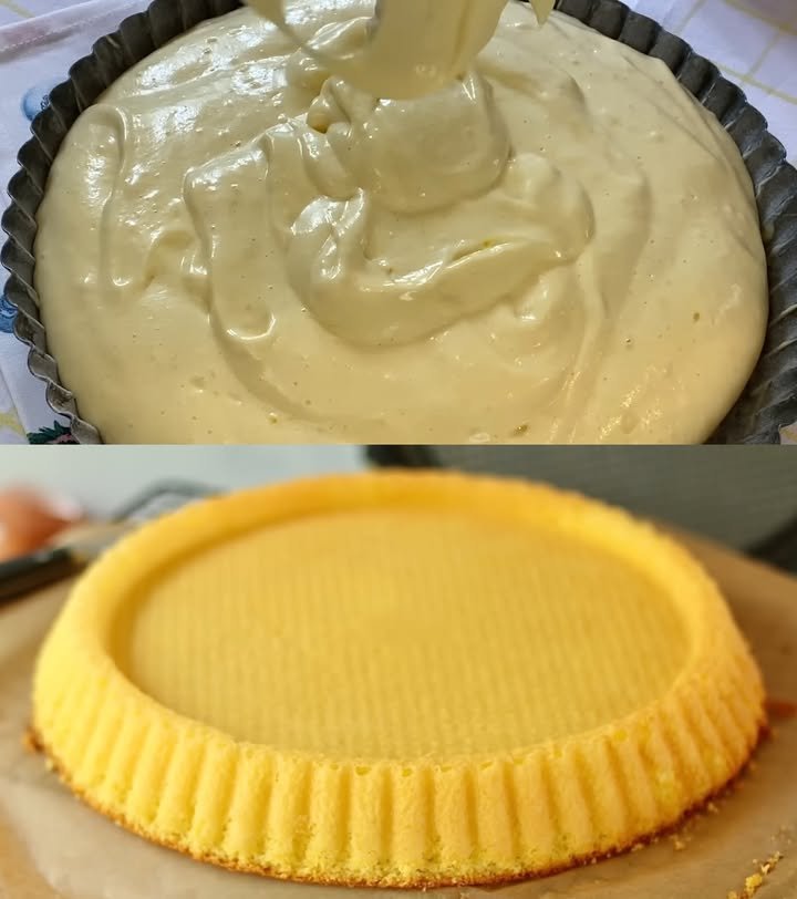 geschmackvoll – Biskuitboden für Torten und Kuchen – Geschmackvoll