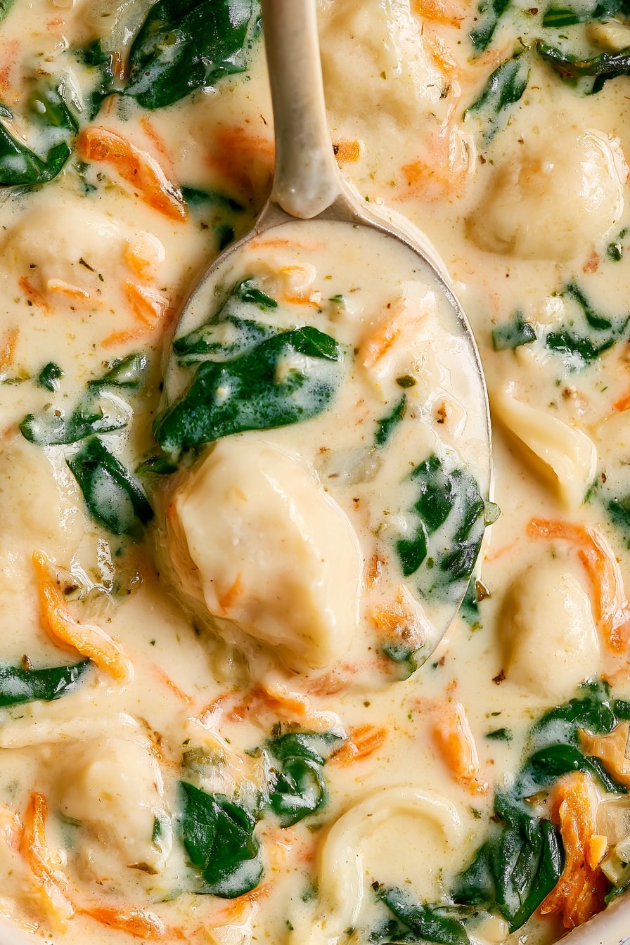 Slow Cooker Chicken Gnocchi Soup 1 Crockpot Chicken Gnocchi Soup