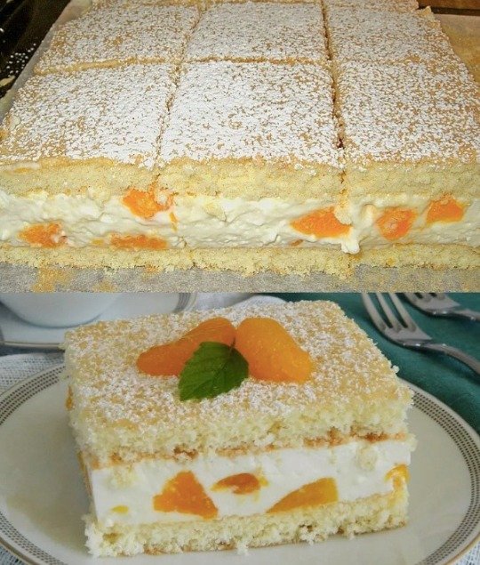 Mandarinen-Creme-Dessert