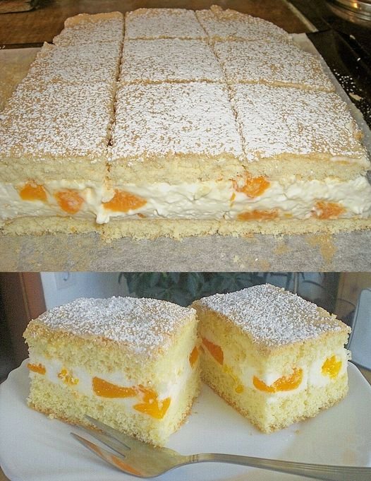 Mandarinen Quark Schnitten