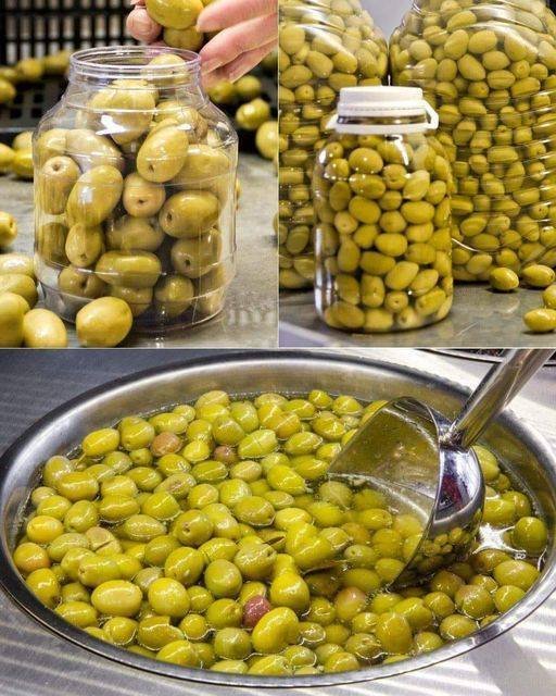 Olive Salate
