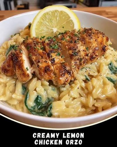 Irresistibly Creamy Lemon Chicken Orzo in One Pot Delight