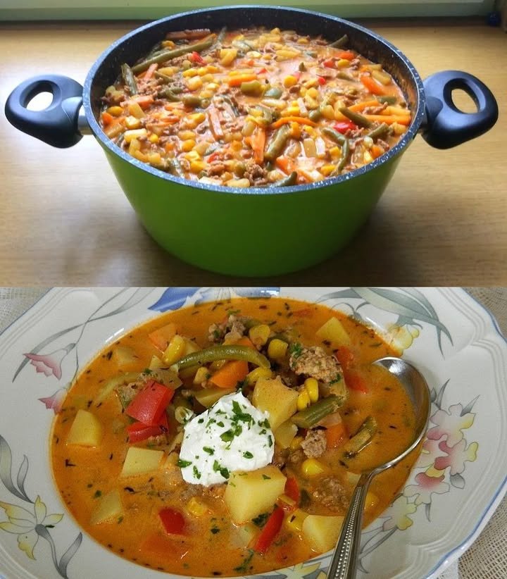 Suppe mit Gemüse und Hackfleisch