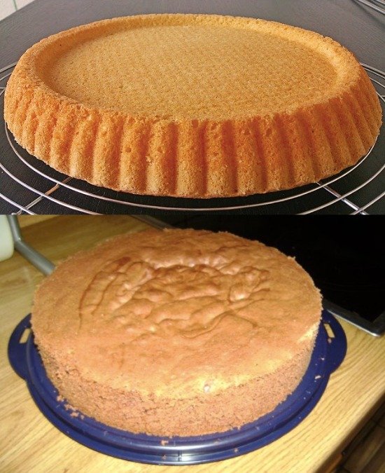 Schwammkuchenboden für Torten