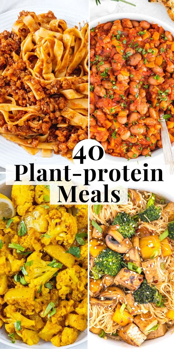 Vegetarian (protein-rich) Meals