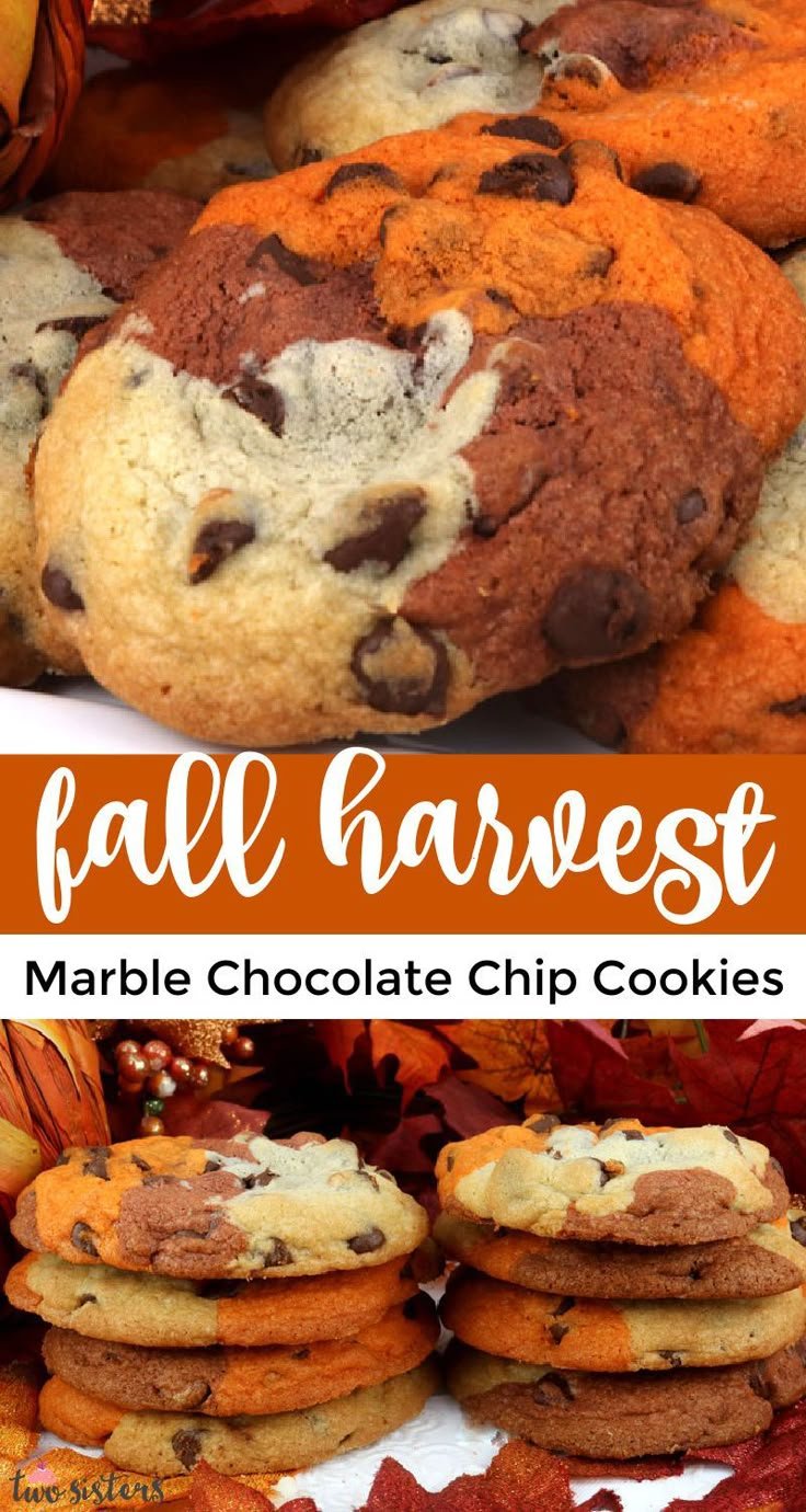 Fall Harvest Marble Chocolate Chip Cookies