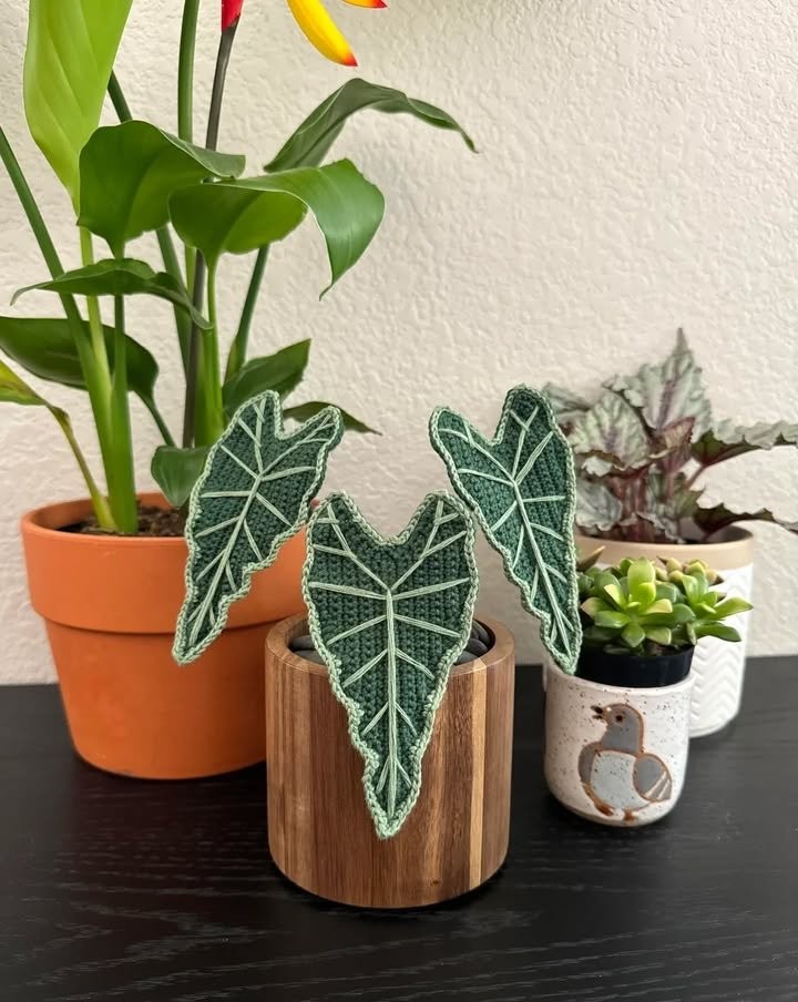 Crocheted Houseplants