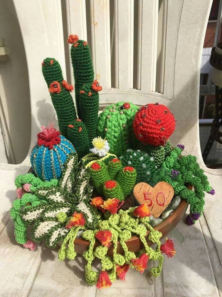 Beautiful Crochet Succulents That You Can't Kill