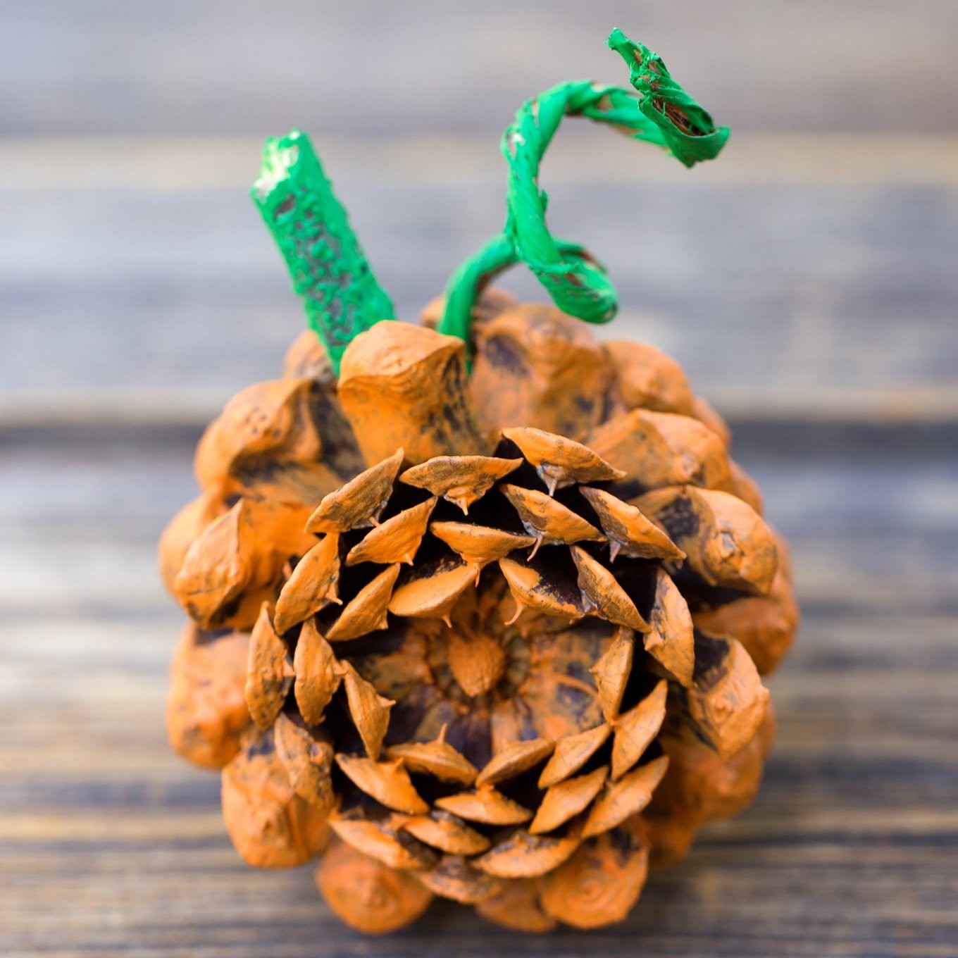 Pine Cone Pumpkin Craft