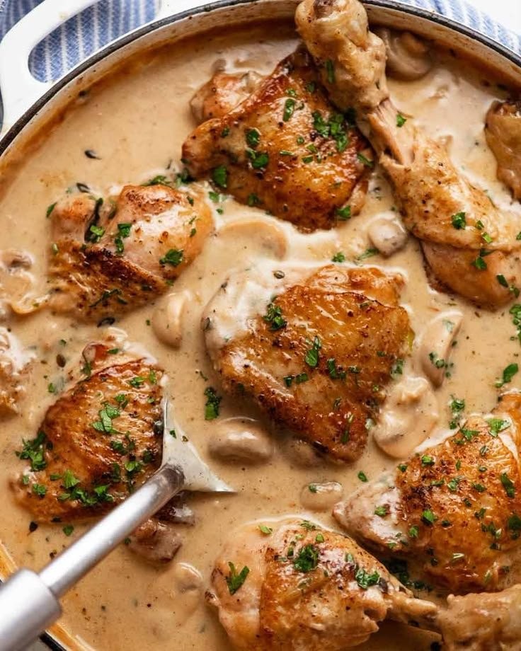 Quick Chicken Stew with Creamy White Mushroom Sauce