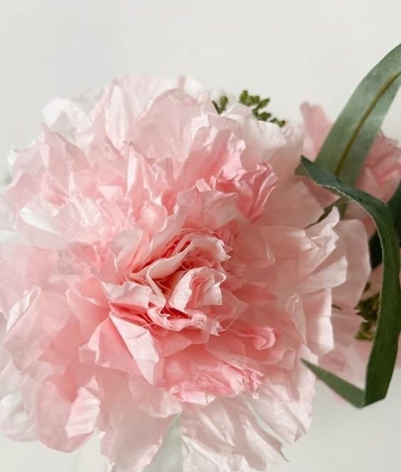 Beautiful Coffee Filter Peonies DIY