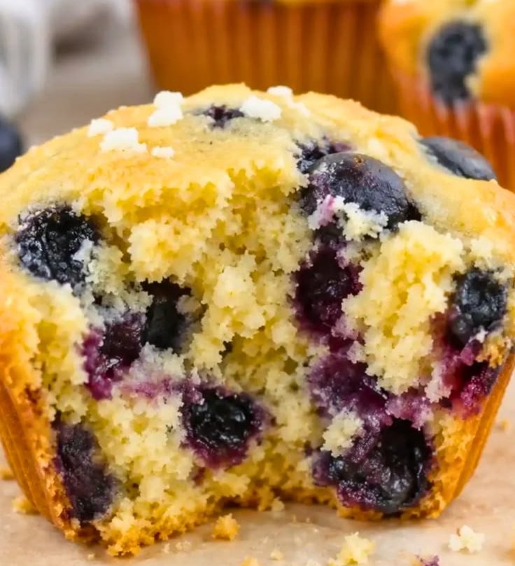 Easy High-Protein Blueberry Cottage Cheese Muffins
