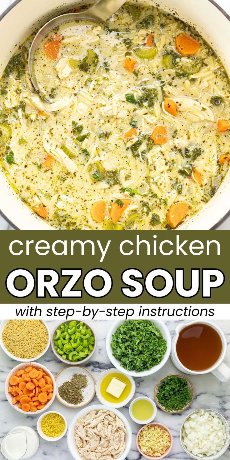 Creamy Chicken and Orzo Soup