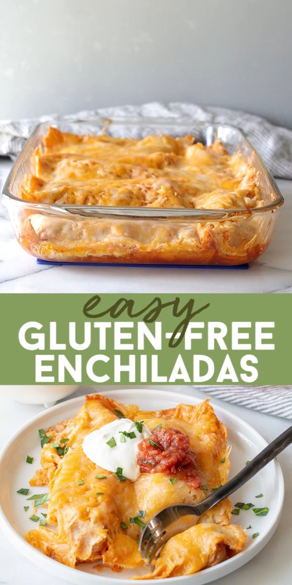 Easy Gluten-Free Enchiladas