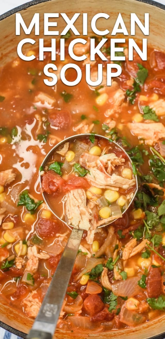 Mexican Chicken Soup (WW recipe) - Crazy for Crust