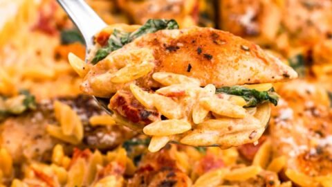Easy Creamy Sun-Dried Tomato Chicken Orzo