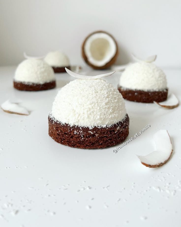 Dôme noix de coco cœur pâte à tartiner - Framboise et Vanille