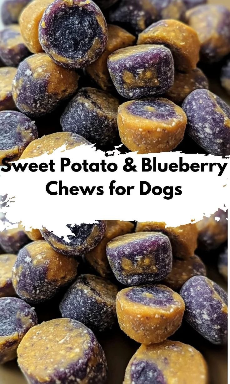 How to make sweet potato treats for dogs | Blueberry and sweet potato dog treats with coconut, Sweet potato and blueberries dog treats, Pet treats recipes