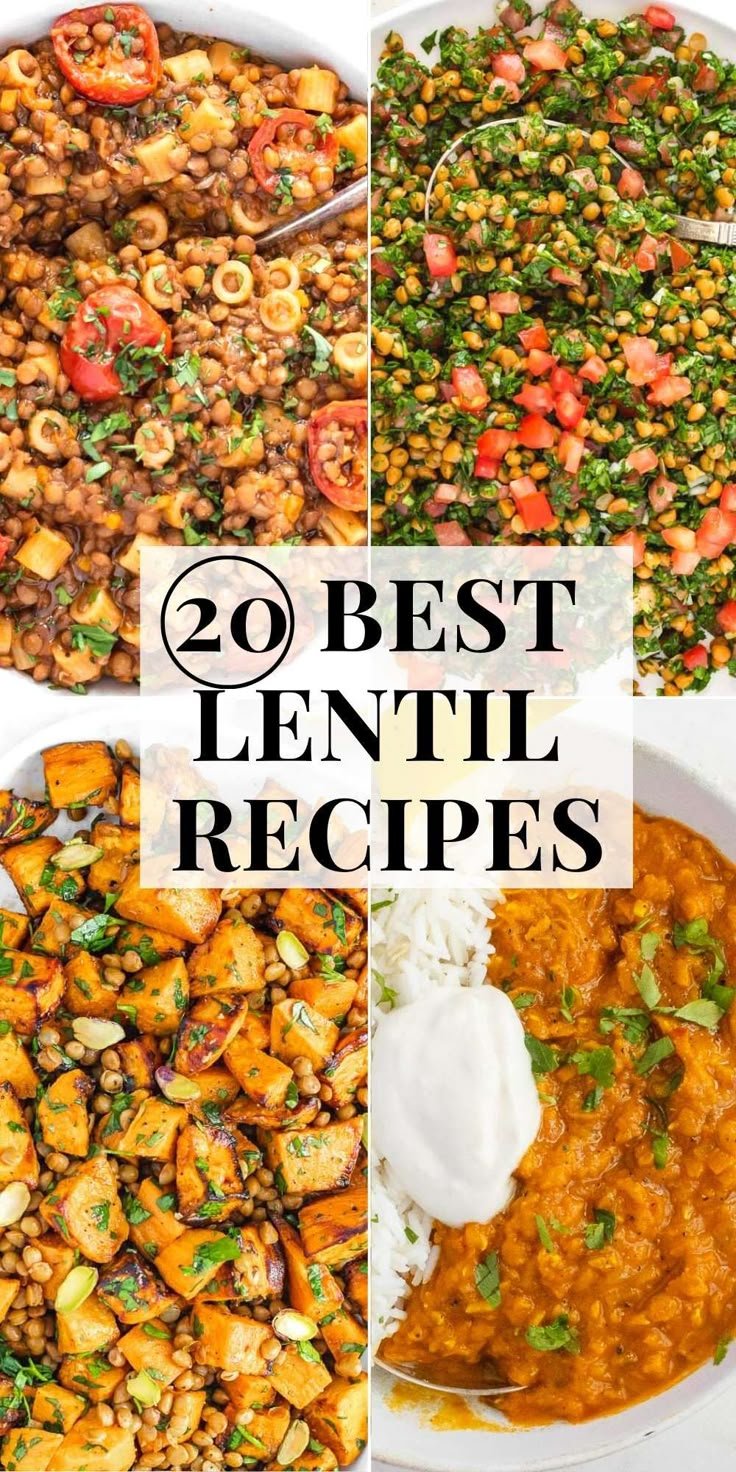 25 Lentil Recipes: Easy Meals with Lentils | Lentil food recipes, Lentil recipes collection, Easy healthy lentil recipes