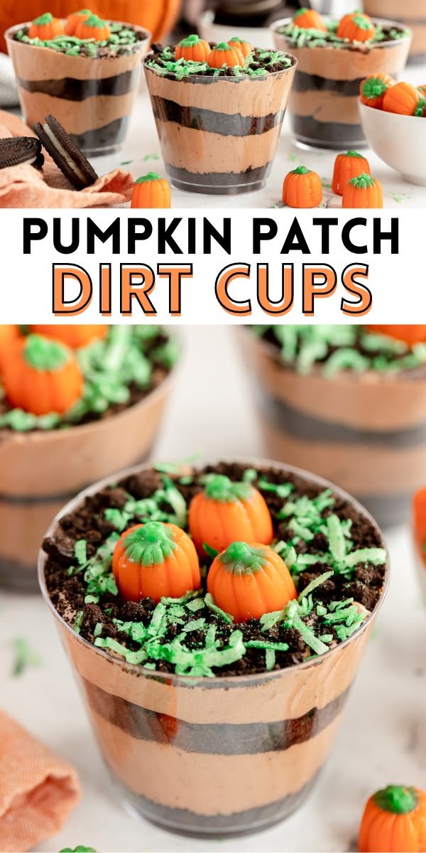Pumpkin Patch Dirt Cups