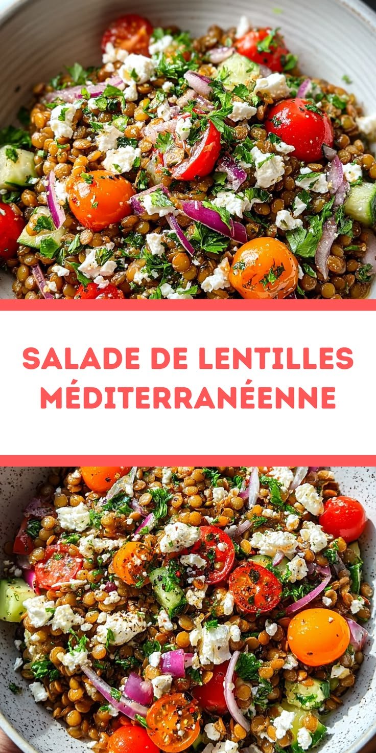 Salade De Lentilles Méditerranéenne Facile À Préparer Pour Dîner