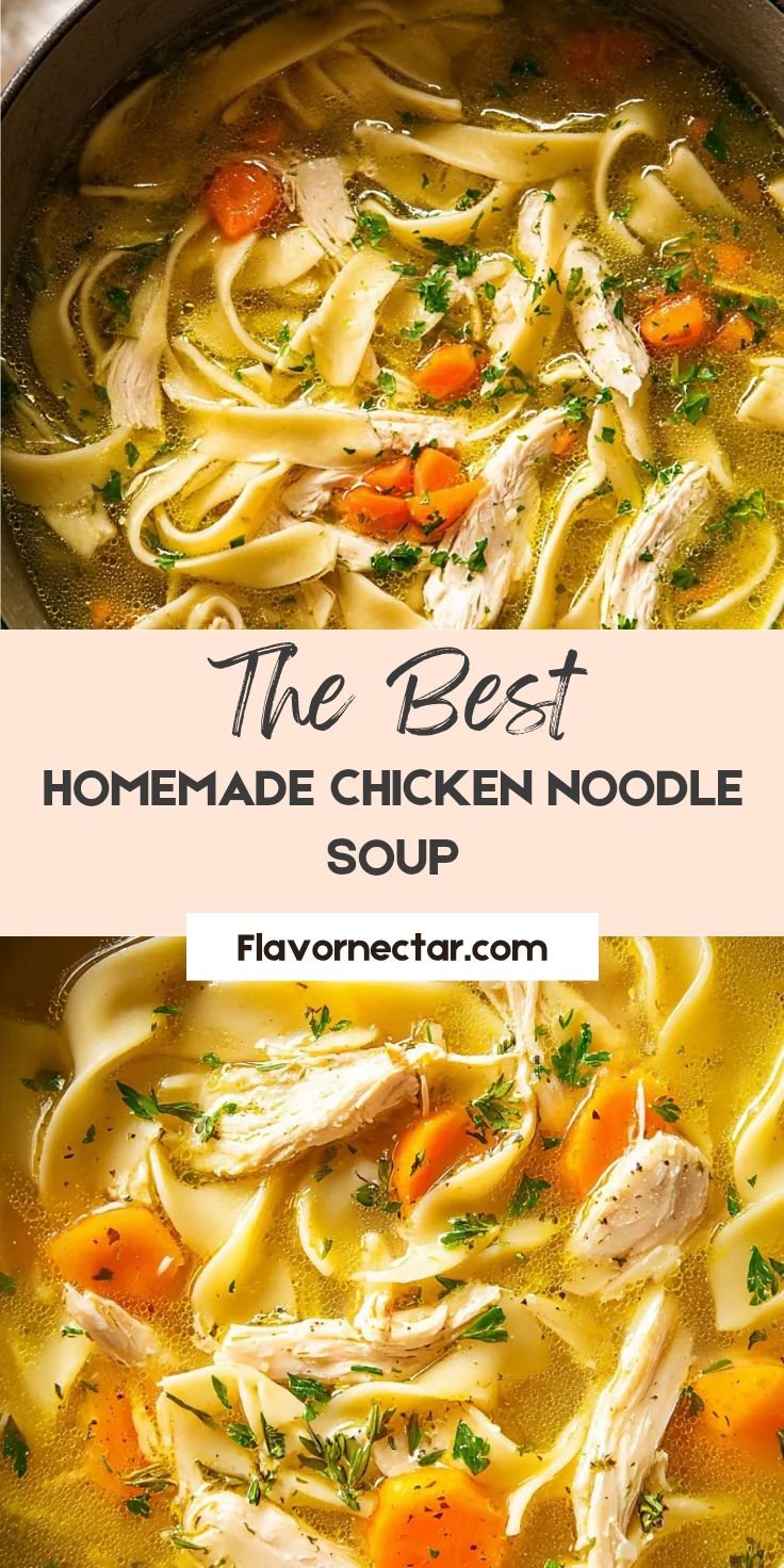 Homemade Chicken Noodle Soup
