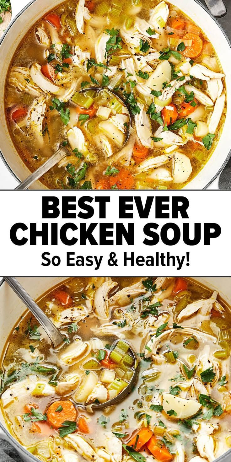 Best Homemade Chicken Soup Recipe