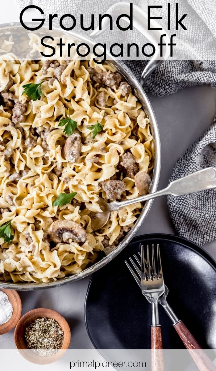 Ground Elk Stroganoff