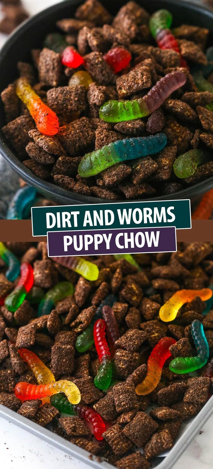 Dirt and Worms Puppy Chow