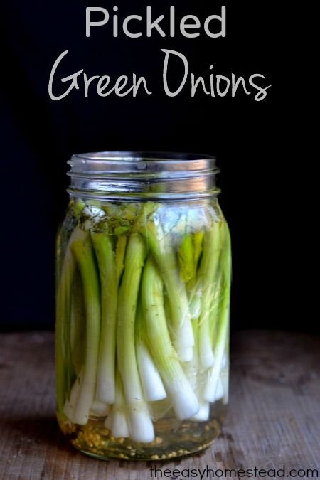 25+ Canning Recipes